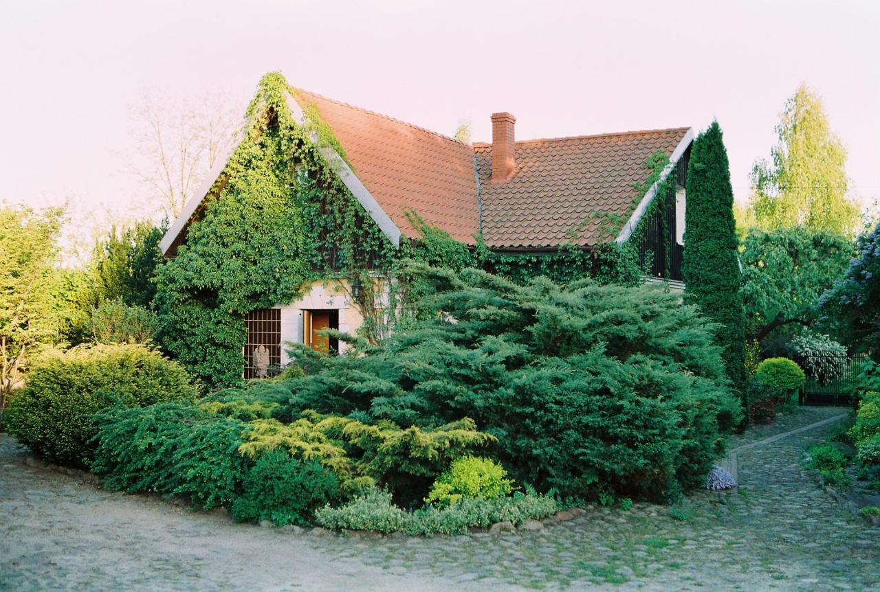 Villa Reglowka Z Kominkiem Ogrod Altanka *