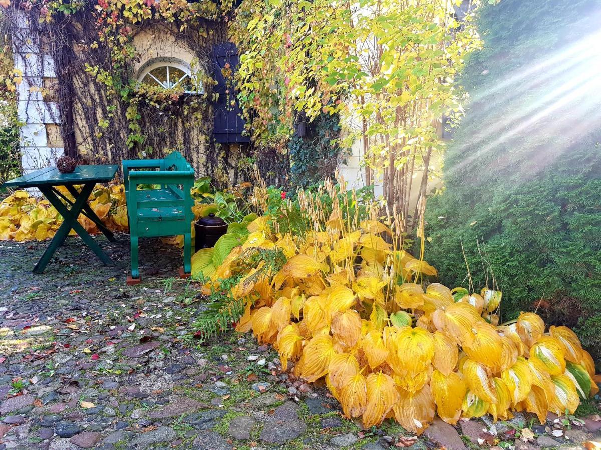 Reglowka Z Kominkiem Ogrod Altanka Villa