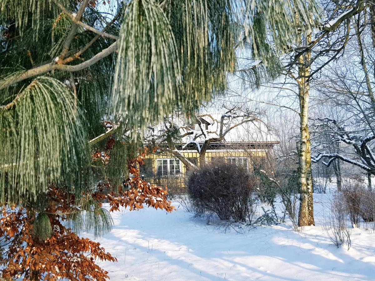 Villa Reglowka Z Kominkiem Ogrod Altanka *