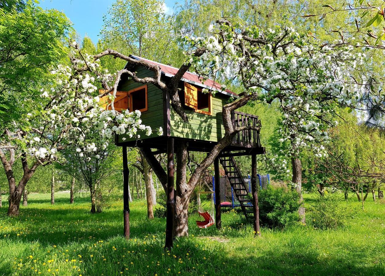 Reglowka Z Kominkiem Ogrod Altanka Villa *