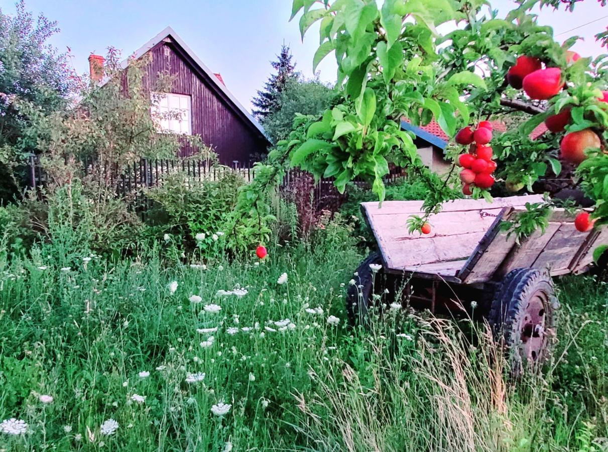 Villa Reglowka Z Kominkiem Ogrod Altanka
