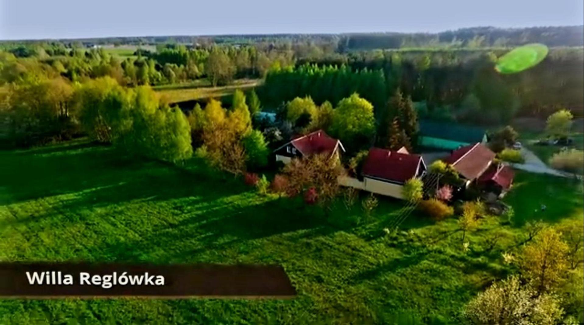 Villa Reglowka Z Kominkiem Ogrod Altanka Wola Krakowianska