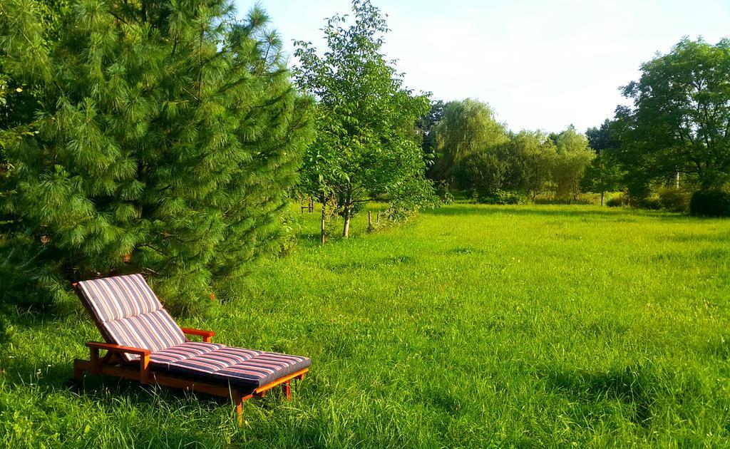 Villa Reglowka Z Kominkiem Ogrod Altanka
