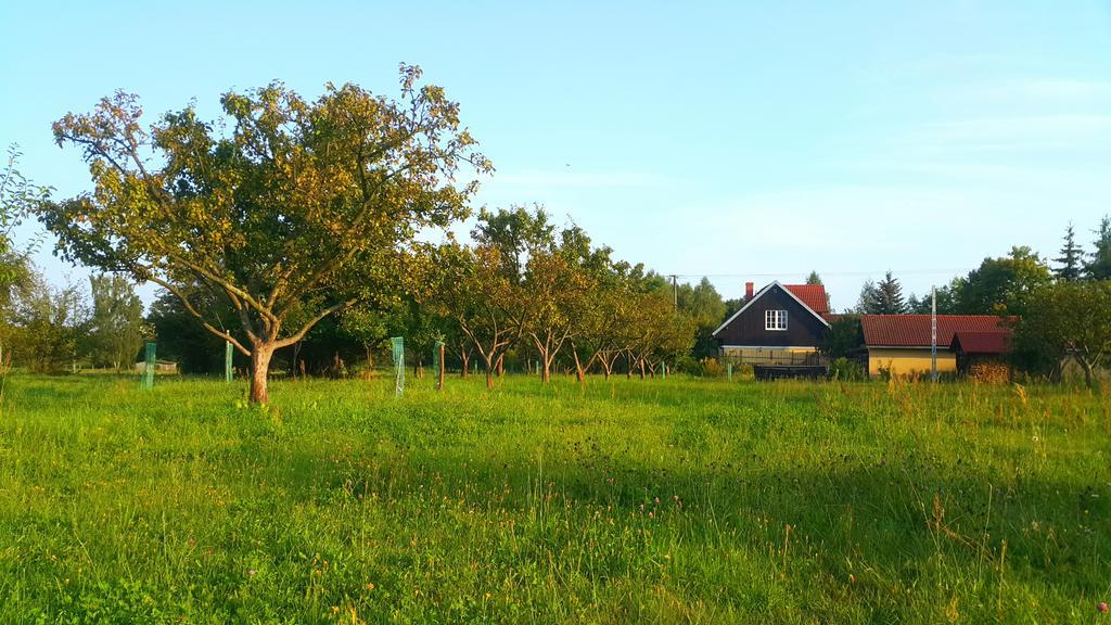 Villa Reglowka Z Kominkiem Ogrod Altanka *