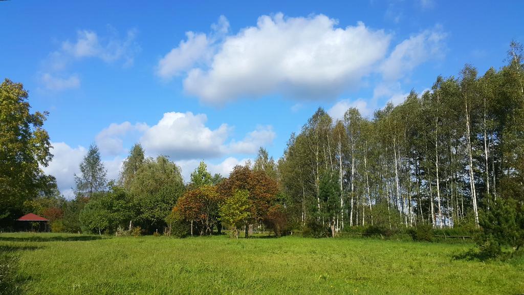 Reglowka Z Kominkiem Ogrod Altanka * Wola Krakowianska