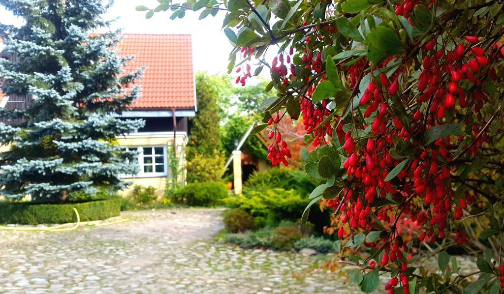 Reglowka Z Kominkiem Ogrod Altanka Villa