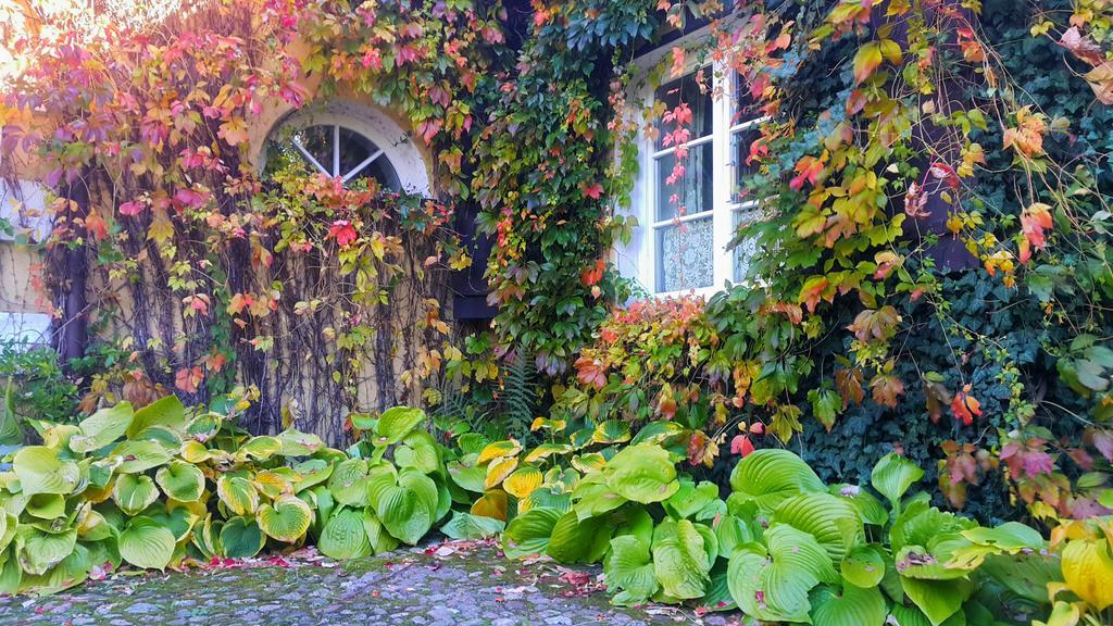 Villa Reglowka Z Kominkiem Ogrod Altanka