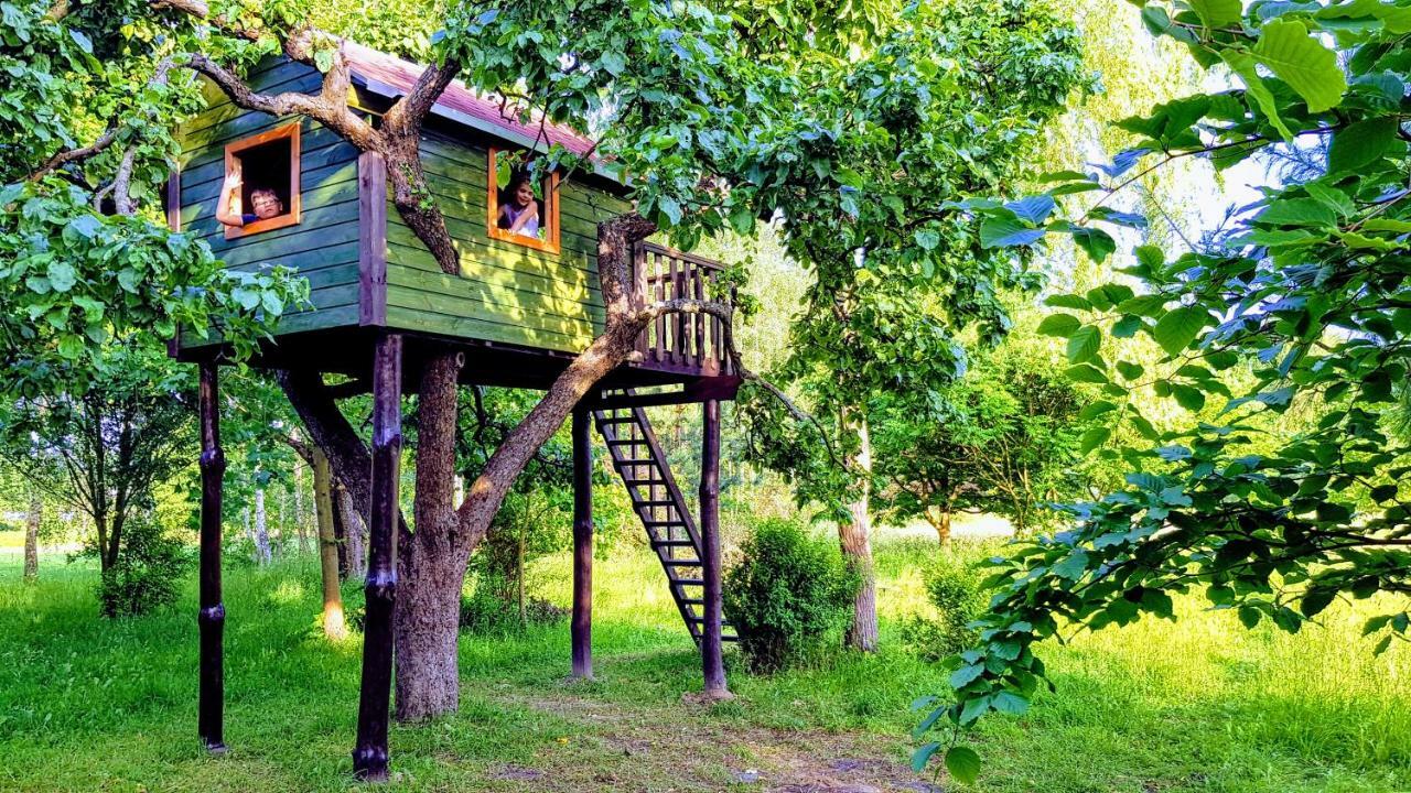 Villa Reglowka Z Kominkiem Ogrod Altanka *