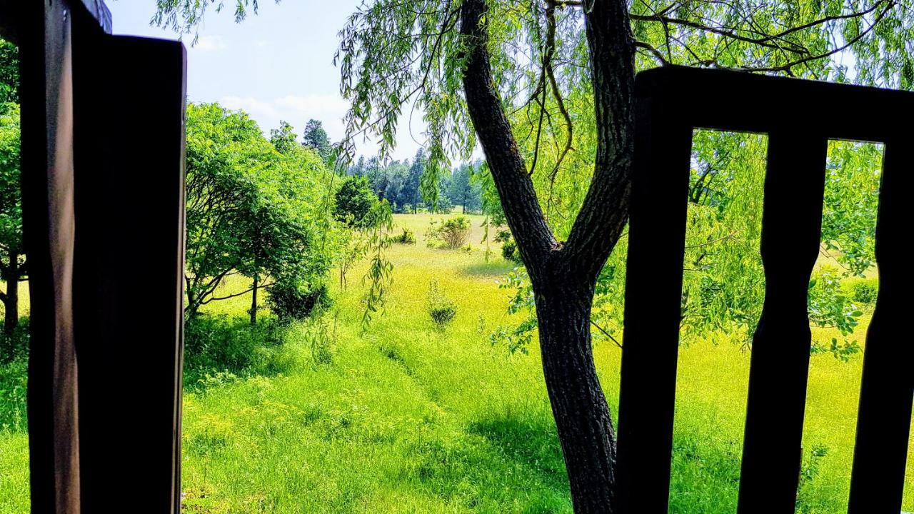 Villa Reglowka Z Kominkiem Ogrod Altanka