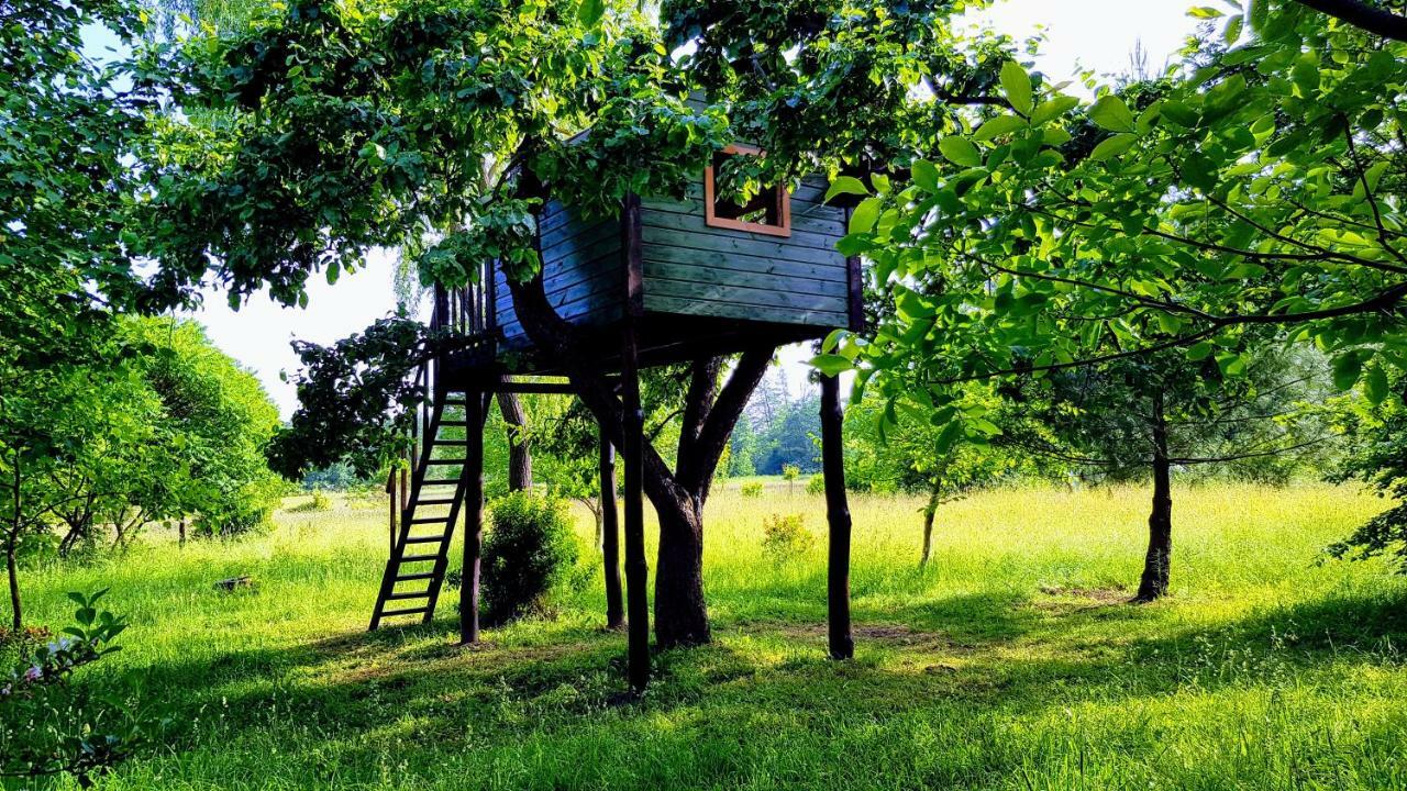 Reglowka Stylowy Dom Pachnacy Ogrod Villa *