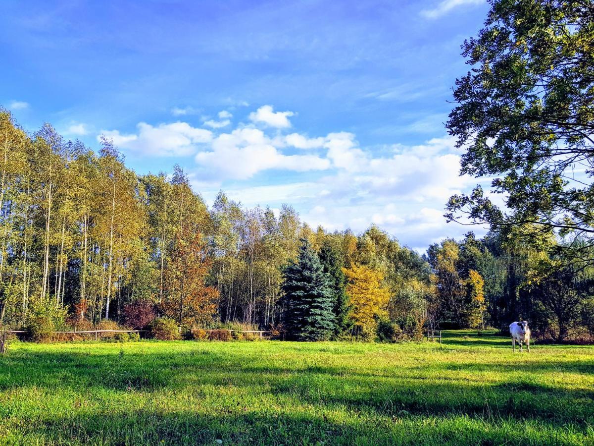 Reglowka Z Kominkiem Ogrod Altanka Villa *